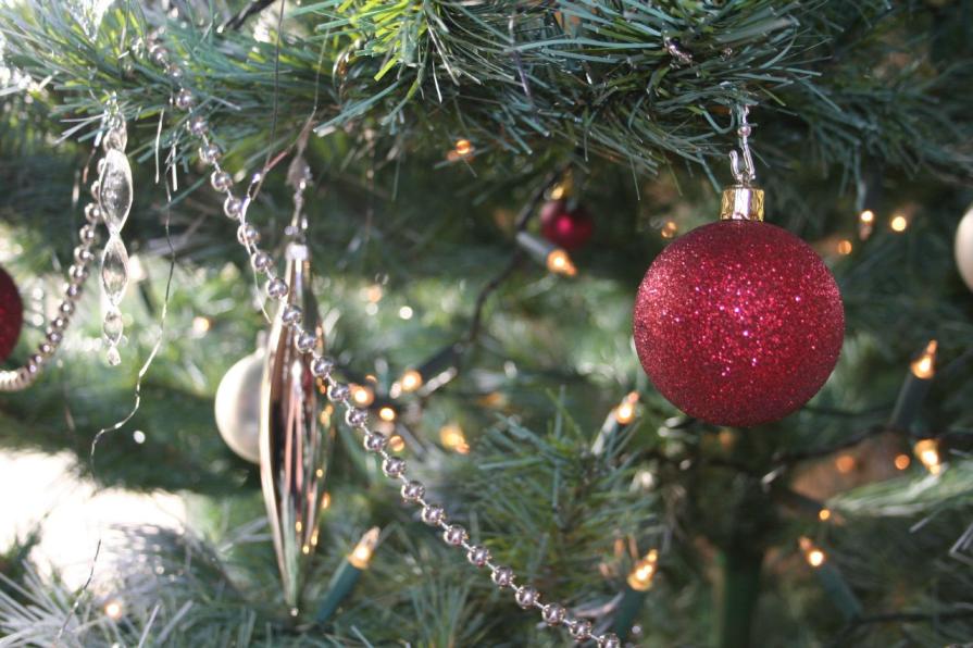 Colorado Christmas Tree Permits | Bureau of Land Management